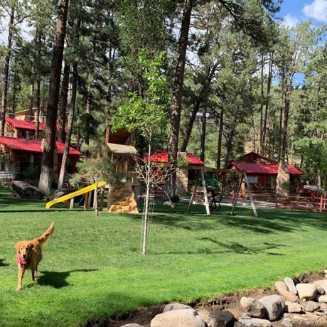 Buddy's Backyard RV Resort