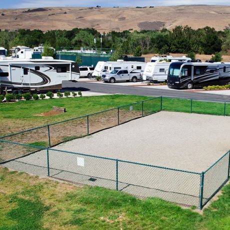 Buddy's Backyard RV Resort